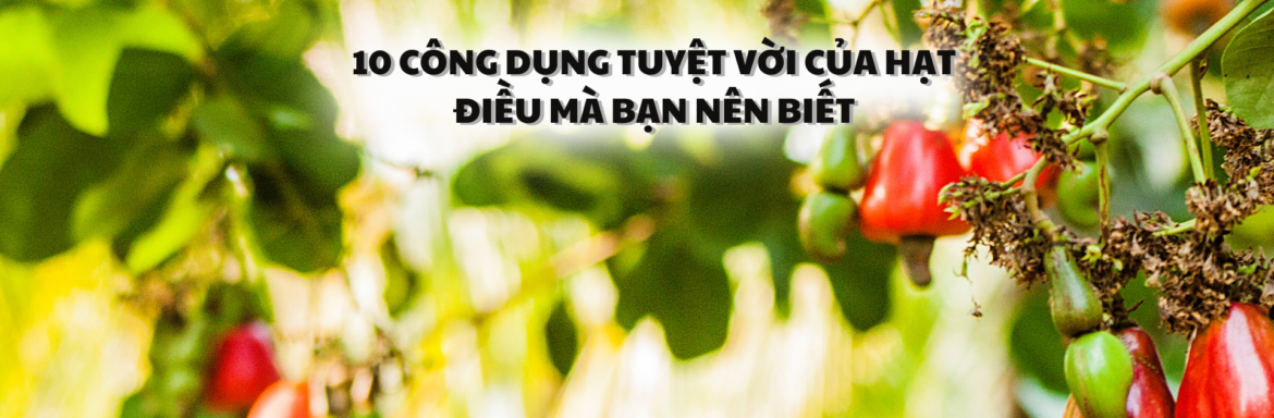10 công dụng tuyệt vời của hạt điều mà bạn nên biết - Hạt Điều Lê Dương
