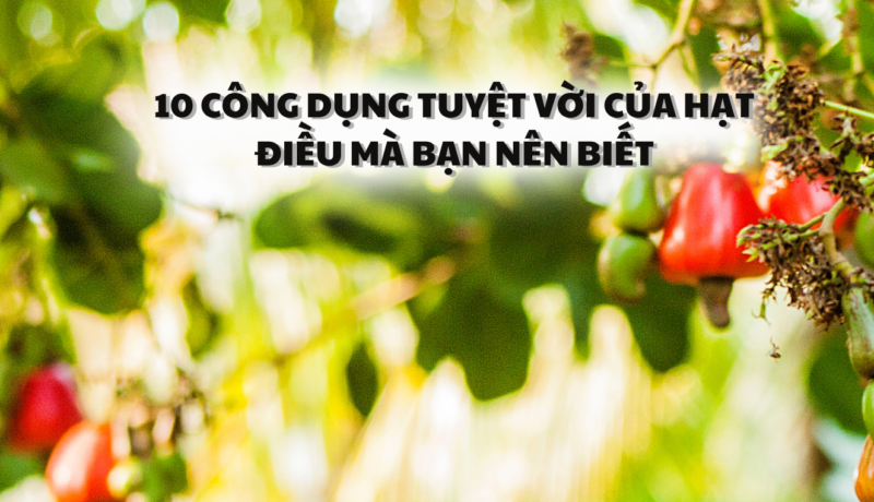 10 công dụng tuyệt vời của hạt điều mà bạn nên biết - Hạt Điều Lê Dương