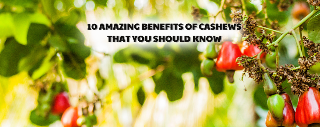 10 amazing benefits of cashews that you should know - Le Duong Cashew