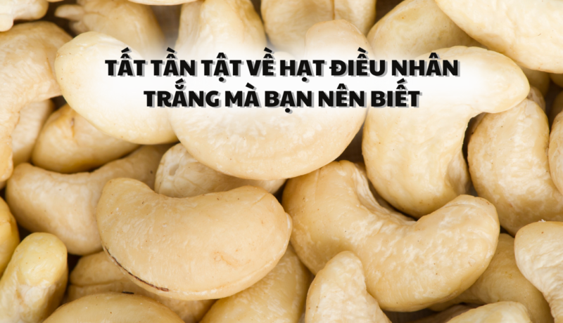 Tất tần tật về hạt điều nhân trắng mà bạn nên biết - Hạt Điều Lê Dương