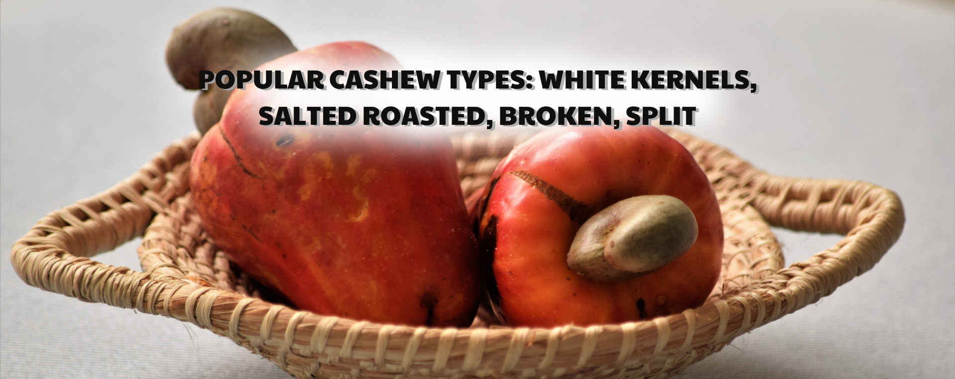 Popular cashew types: white kernels, salted roasted, broken, split - Le Duong Cashew