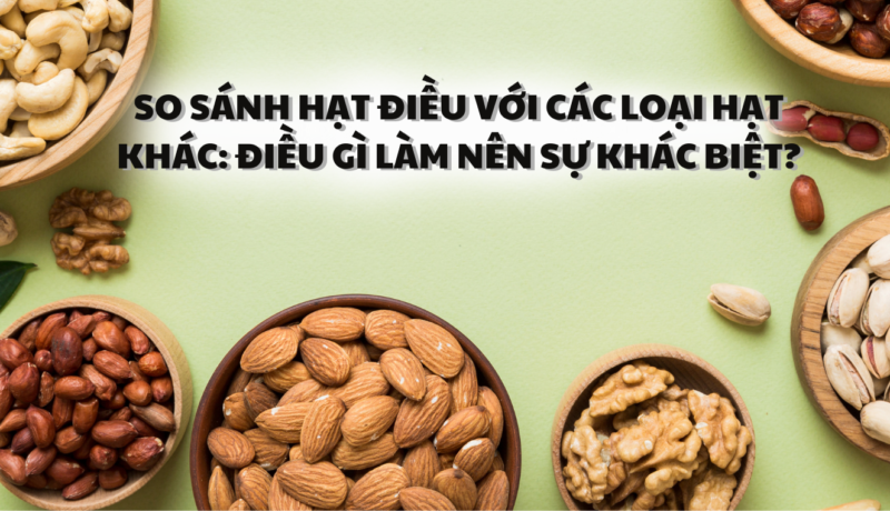 So sánh hạt điều với các loại hạt khác: Điều gì làm nên sự khác biệt? - Hạt Điều Lê Dương
