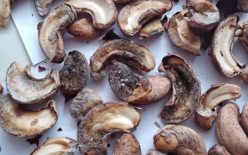 Unassured quality of cashews - Le Duong Cashews