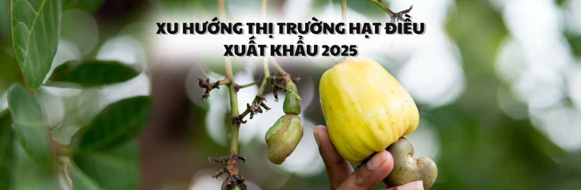 Xu hướng thị trường hạt điều xuất khẩu 2025