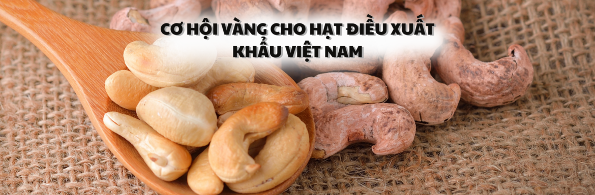 Cơ hội vàng cho hạt điều xuất khẩu Việt Nam