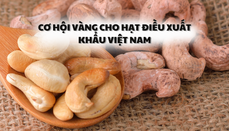 Cơ hội vàng cho hạt điều xuất khẩu Việt Nam