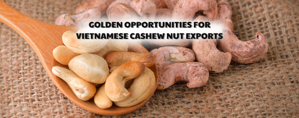 Golden opportunities for vietnamese cashew nut exports
