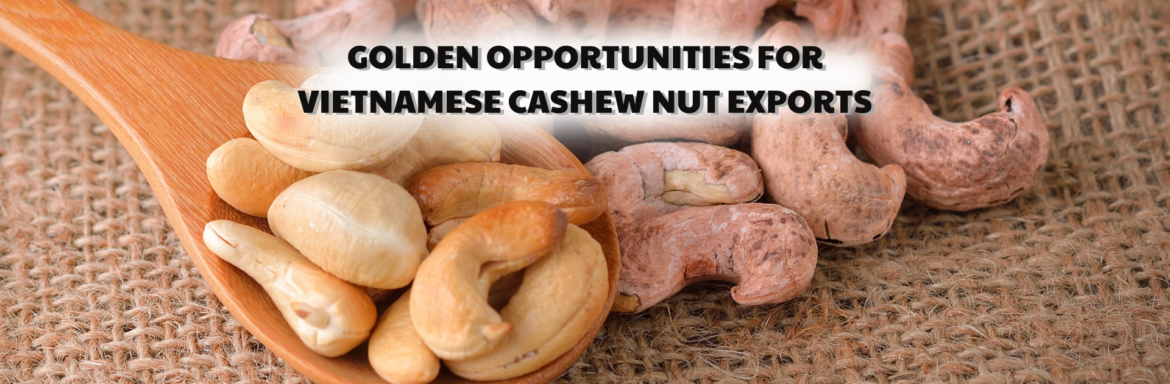 Golden opportunities for vietnamese cashew nut exports