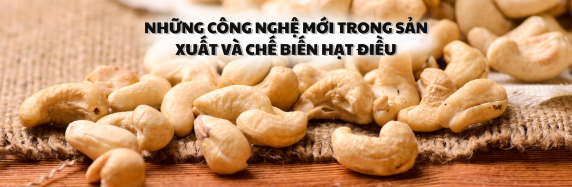 Những công nghệ mới trong sản xuất và chế biến hạt điều