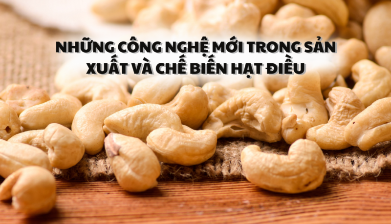 Những công nghệ mới trong sản xuất và chế biến hạt điều