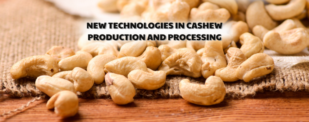 New technologies in cashew production and processing
