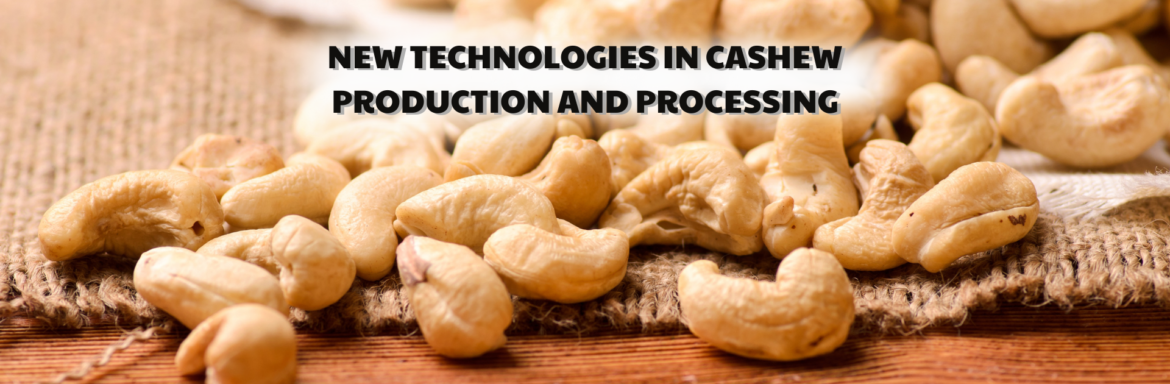 New technologies in cashew production and processing