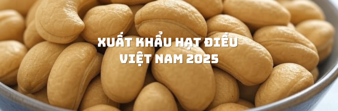 Xuất khẩu hạt điều Việt Nam 2025 từ Hạt Điều Lê Dương