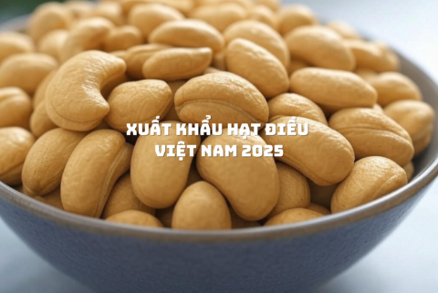 Xuất khẩu hạt điều Việt Nam 2025 từ Hạt Điều Lê Dương