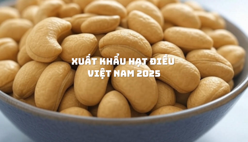 Xuất khẩu hạt điều Việt Nam 2025 từ Hạt Điều Lê Dương
