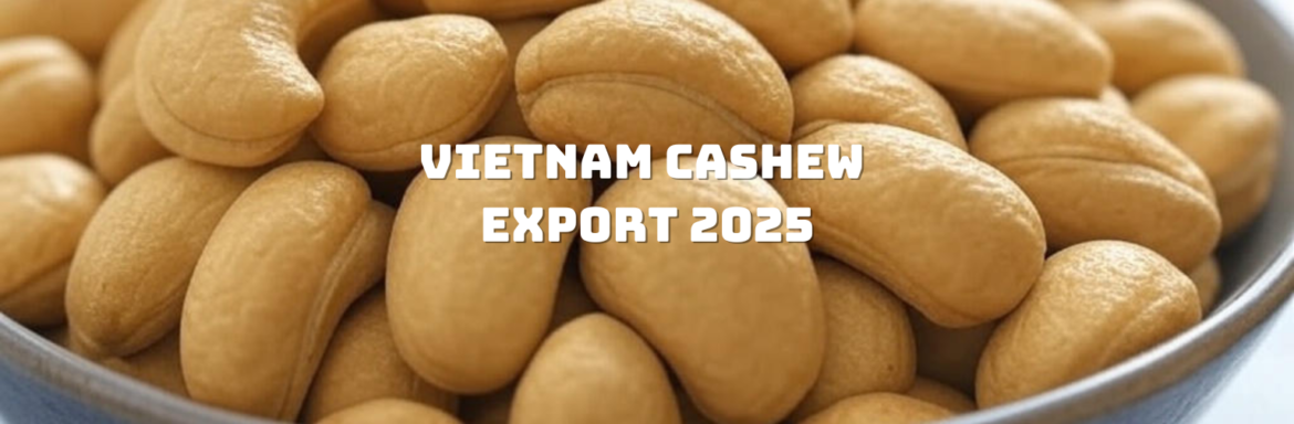 Vietnam Cashew Export 2025