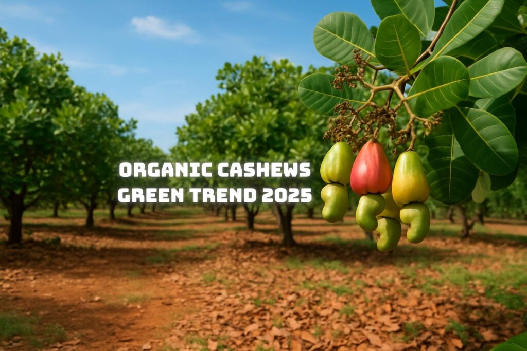 Organic Cashews Green Trend 2025