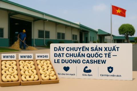 Nhà máy sản xuất hạt điều đạt chuẩn quốc tế của Lê Dương