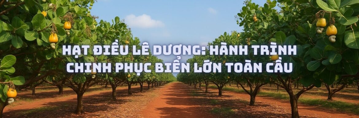Hạt Điều Lê Dương Hành Trình Chinh Phục Biển Lớn Toàn Cầu