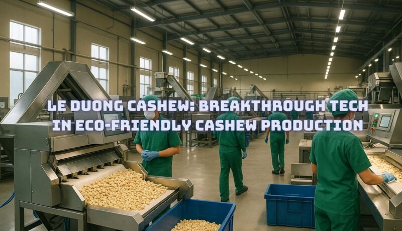 Breakthrough Tech in Eco-Friendly Cashew Production