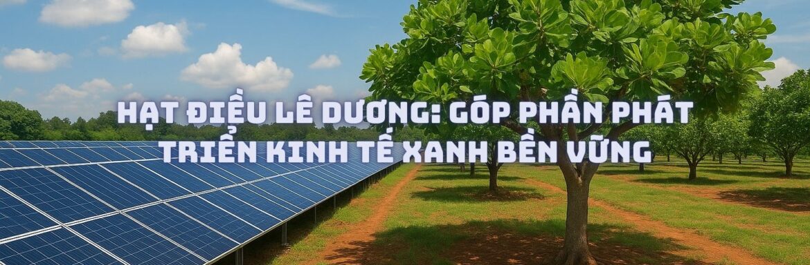 Hạt Điều Lê Dương: Góp Phần Phát Triển Kinh Tế Xanh Bền Vững