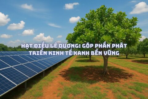 Hạt Điều Lê Dương: Góp Phần Phát Triển Kinh Tế Xanh Bền Vững