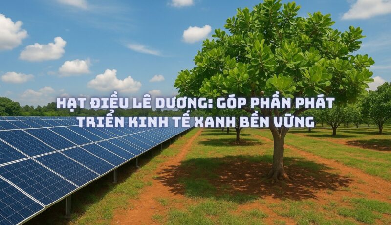 Hạt Điều Lê Dương: Góp Phần Phát Triển Kinh Tế Xanh Bền Vững
