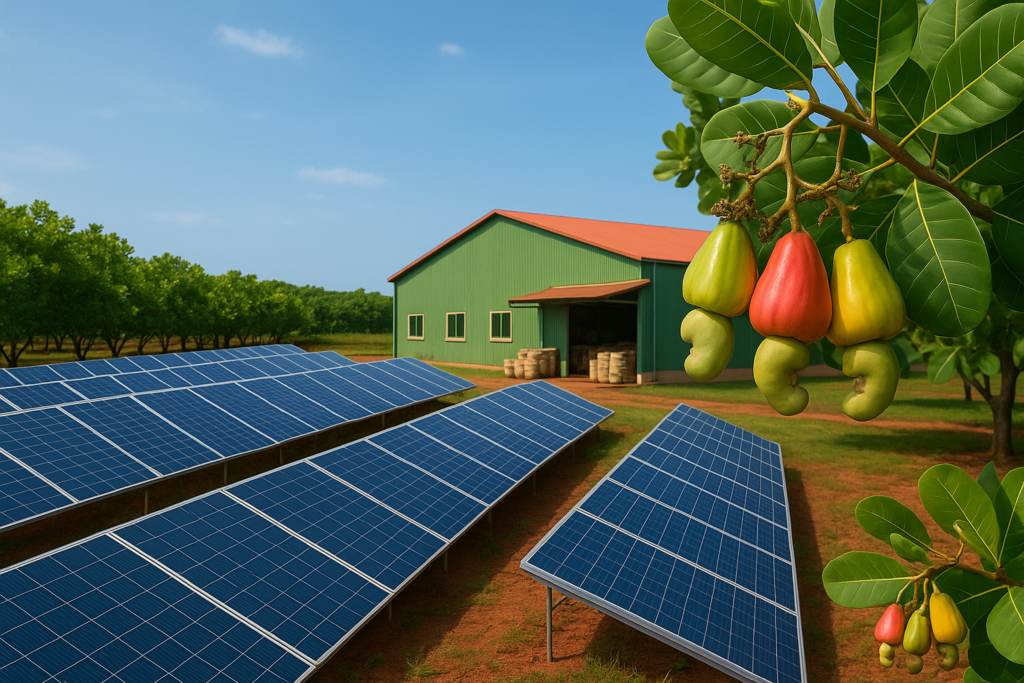 Le Duong Driving Green Economy with Sustainable Cashews