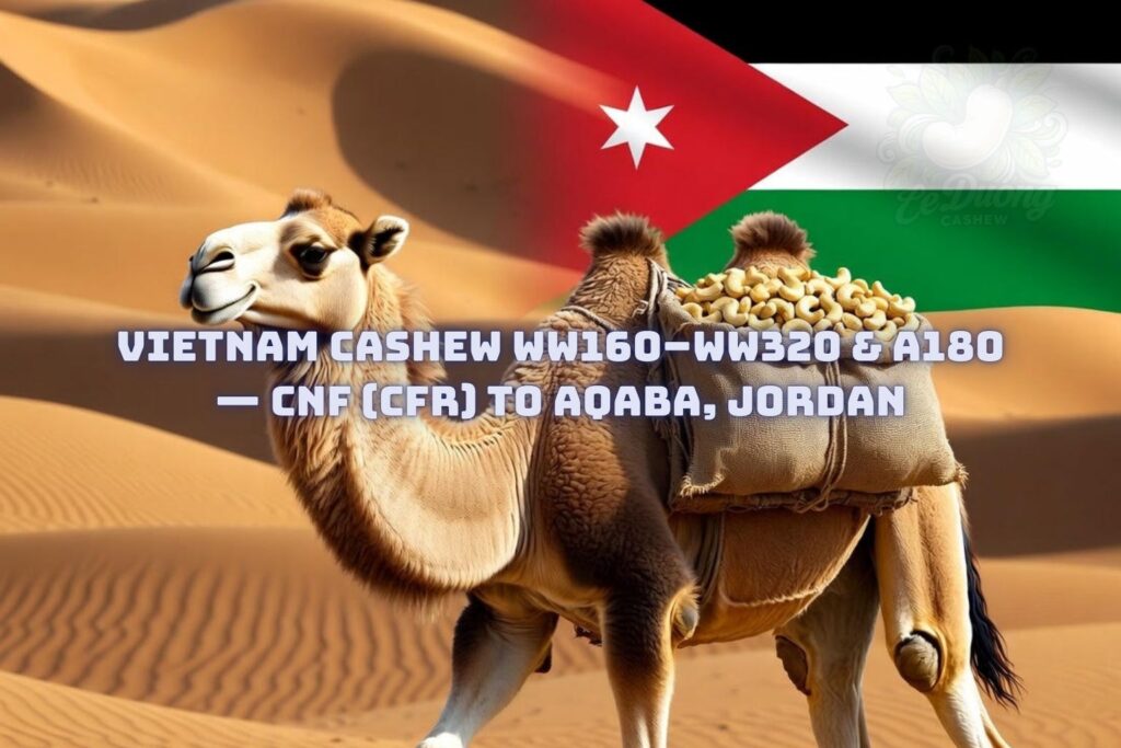Vietnam Cashew WW160–WW320 & A180 — CNF (CFR) to Aqaba, Jordan