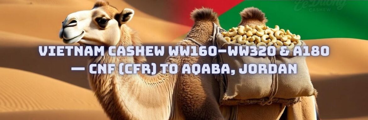Vietnam Cashew WW160–WW320 & A180 — CNF (CFR) to Aqaba, Jordan