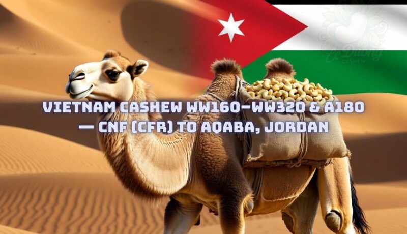 Vietnam Cashew WW160–WW320 & A180 — CNF (CFR) to Aqaba, Jordan