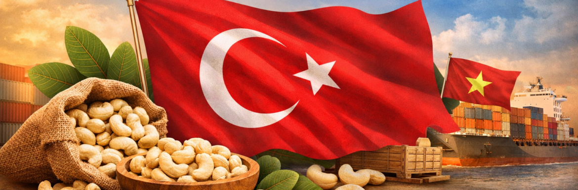 Vietnam Turkiye Cashew Kernel Import Report