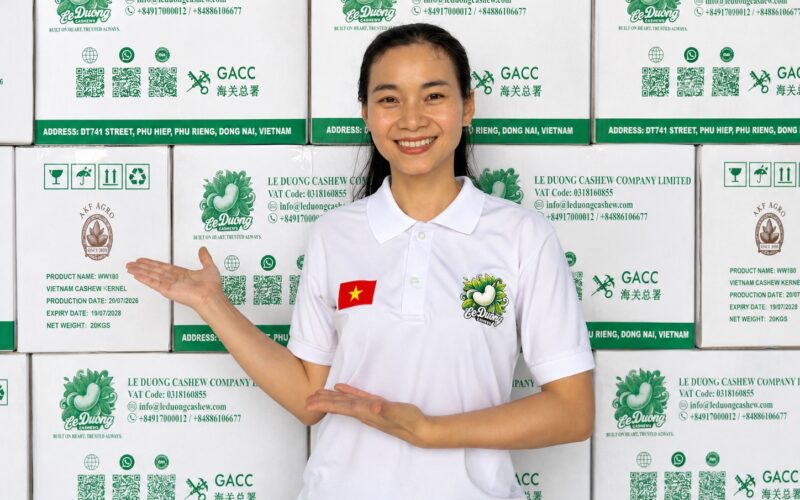 Vietnam Cashew Exports August 2026: Market Snapshot