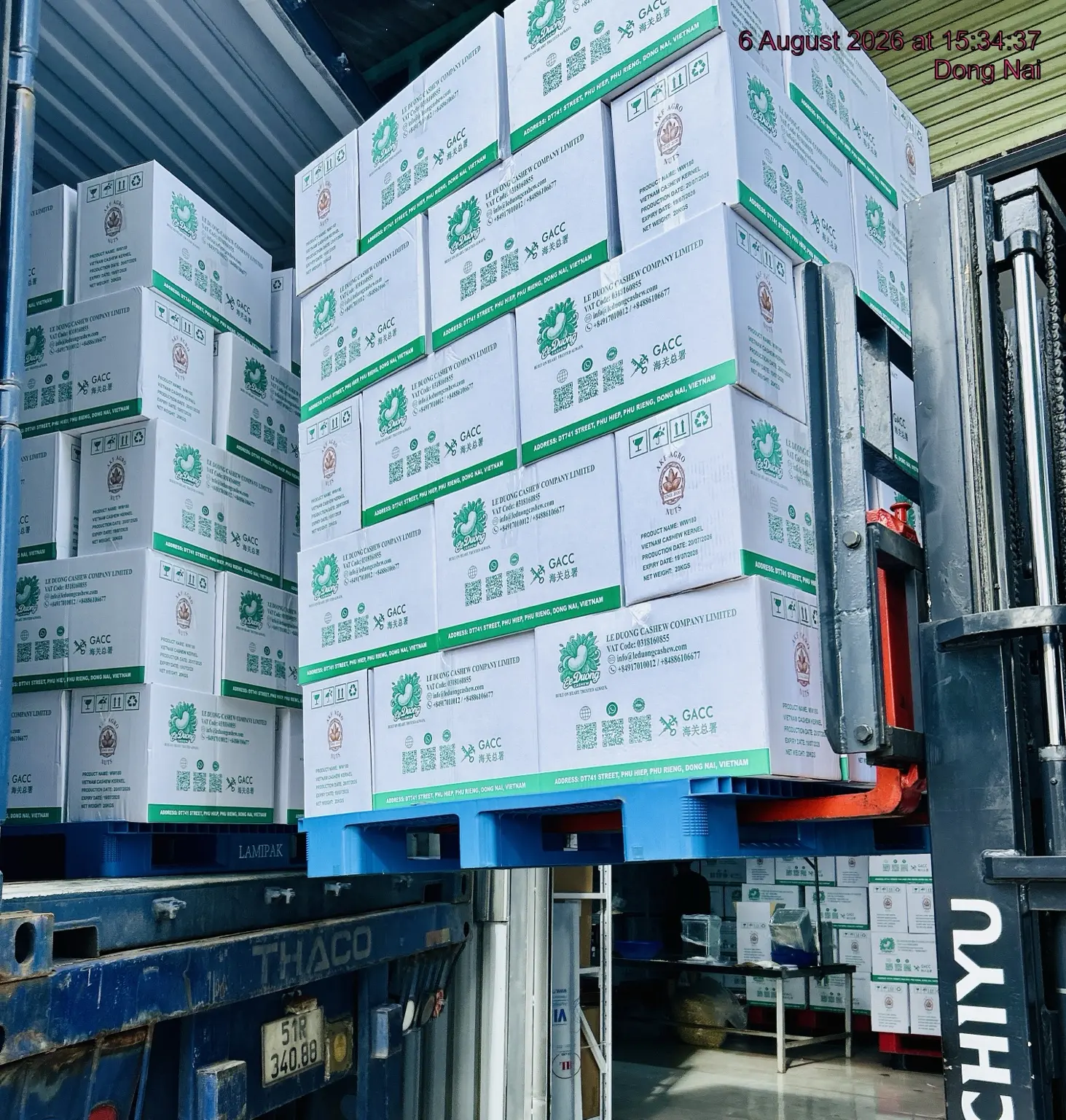 Le Duong Cashew export cartons being loaded into a shipping container in Dong Nai, Vietnam