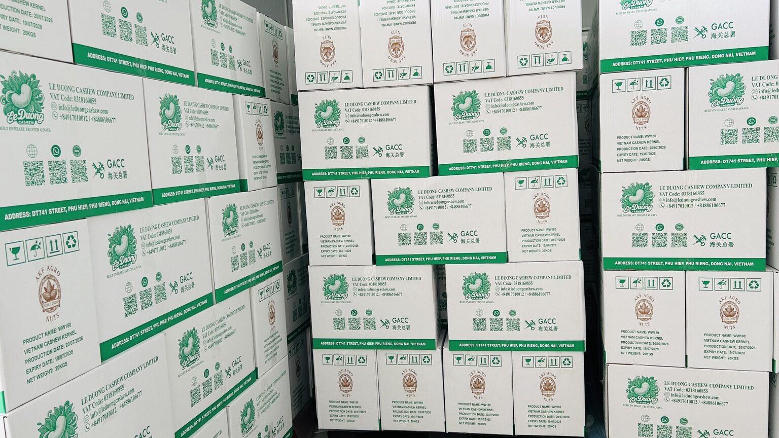 Le Duong Cashew export cartons ready for international shipment