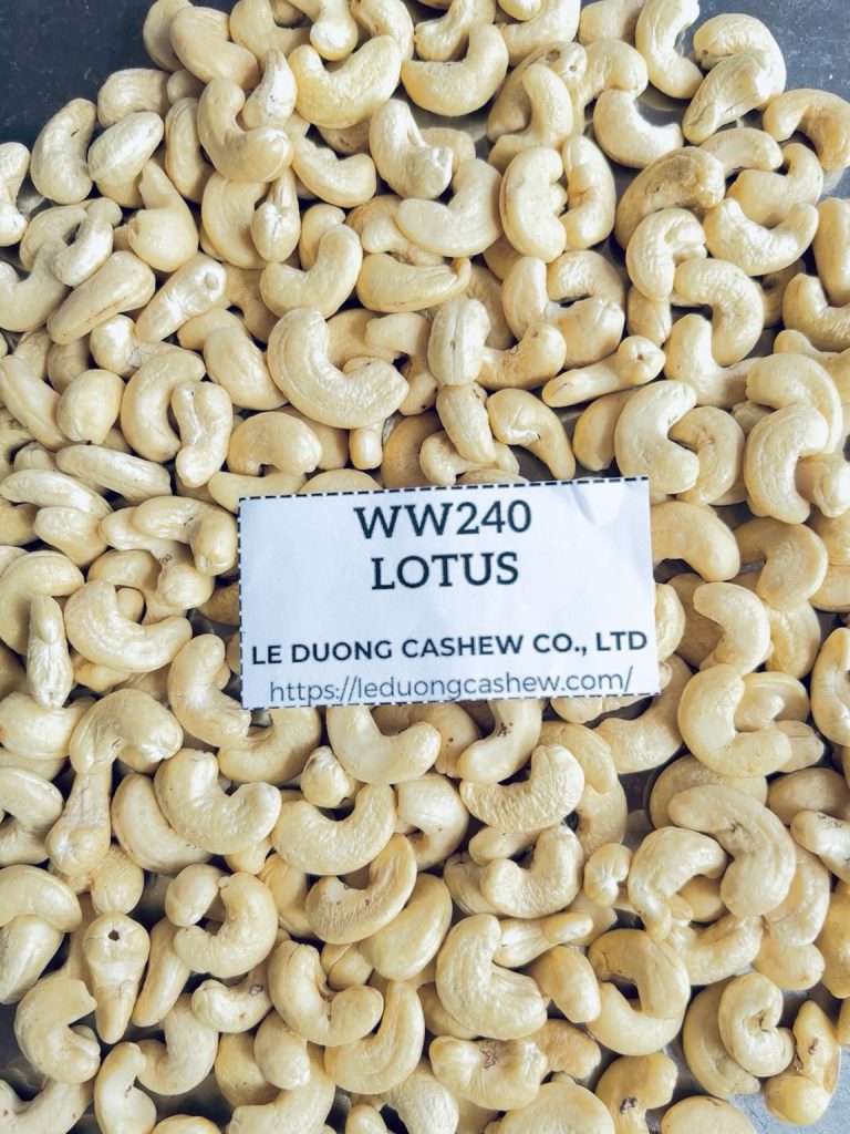 WW240 Lotus whole white cashew kernels
