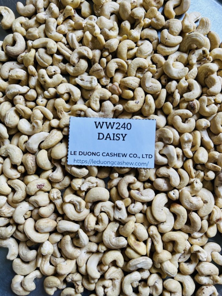 WW240 Daisy whole white cashew kernels