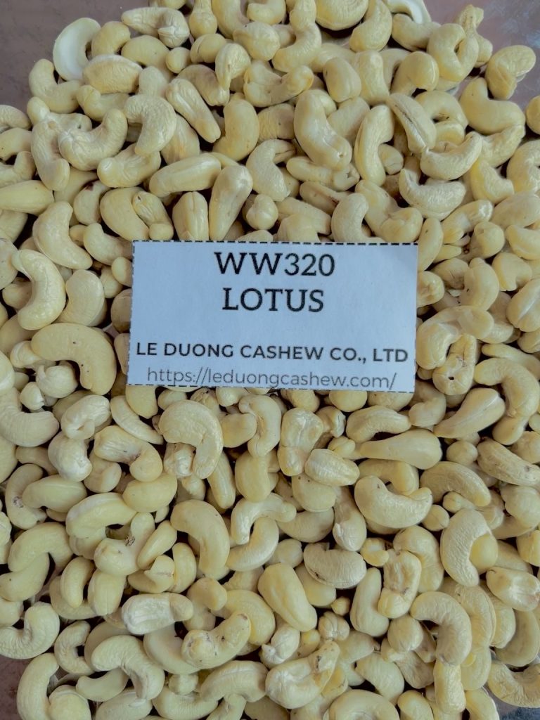 WW320 Lotus whole white cashew kernels