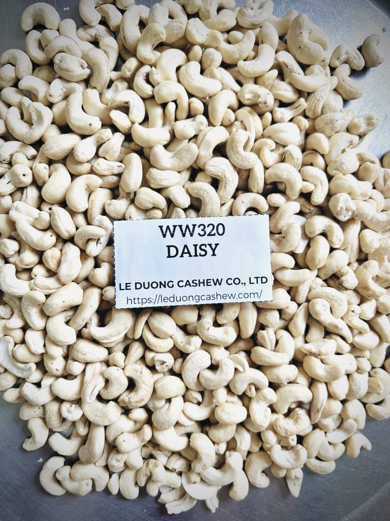 WW320 Daisy whole white cashew kernels