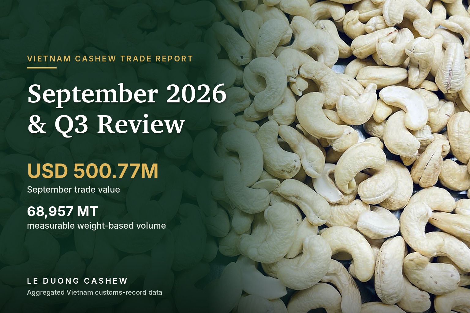 Premium WW180 cashew kernels with Vietnam Cashew Trade Update, September 2026 and Q3 Review headline